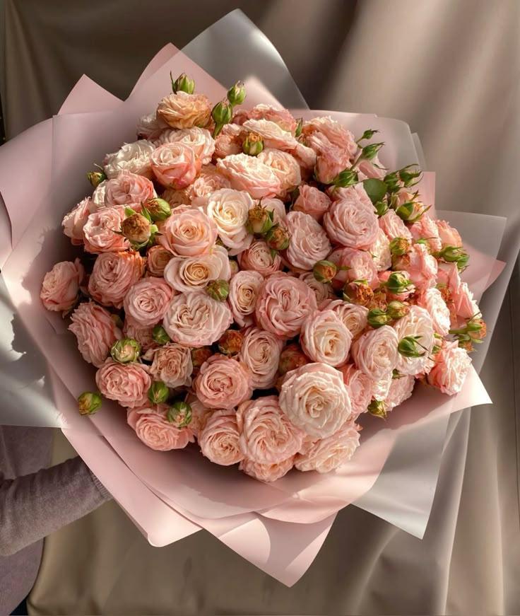 Twilight Serenade Blossom Collection